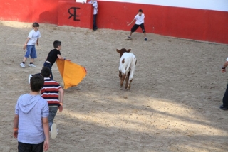  Children's running of the bulls 